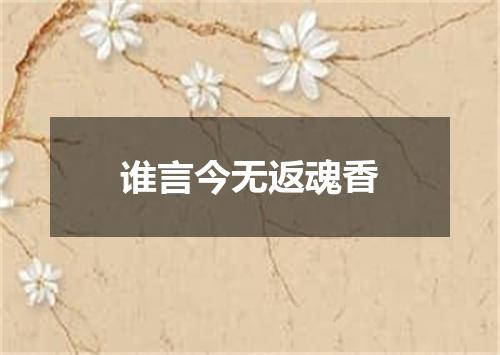谁言今无返魂香