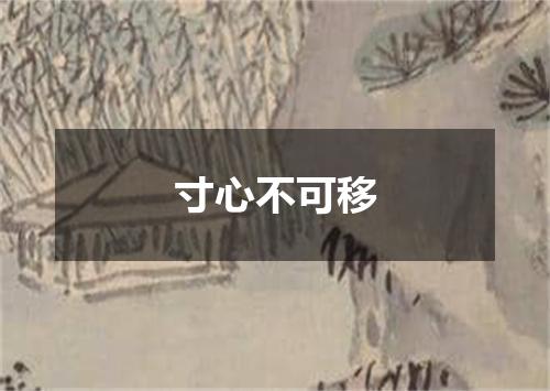 寸心不可移