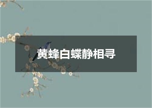 黄蜂白蝶静相寻