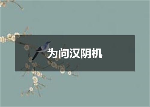 为问汉阴机