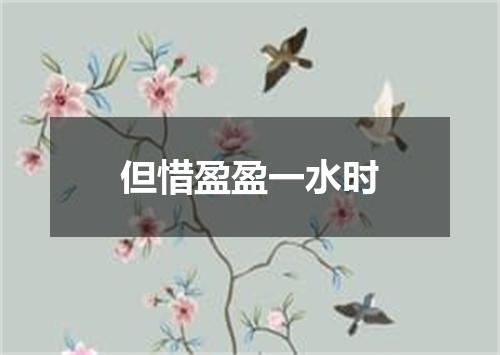 但惜盈盈一水时