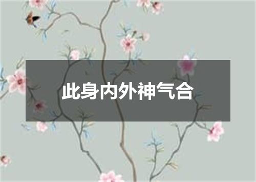 此身内外神气合