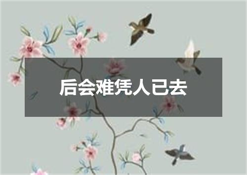 后会难凭人已去