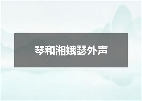 琴和湘娥瑟外声