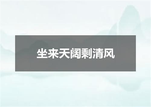 坐来天阔剩清风