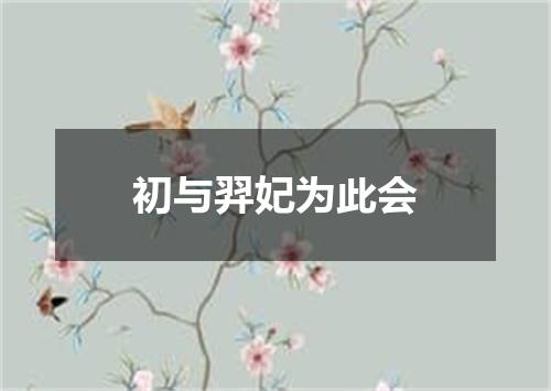 初与羿妃为此会