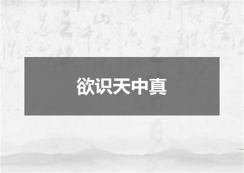 欲识天中真
