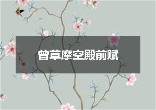 曾草摩空殿前赋