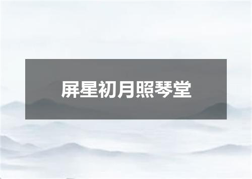 屏星初月照琴堂