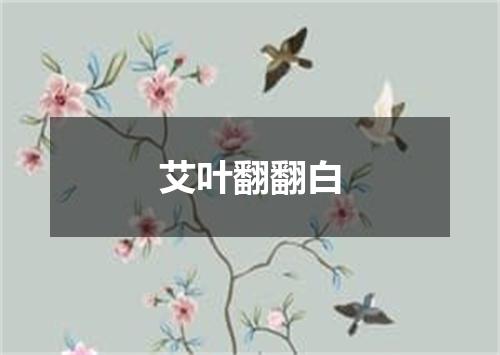 艾叶翻翻白