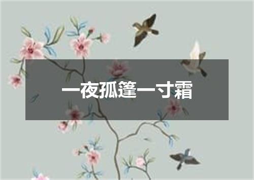 一夜孤篷一寸霜