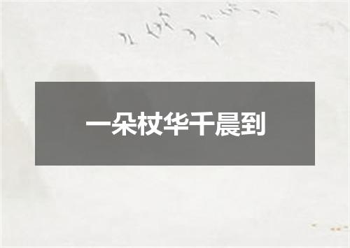 一朵杖华千晨到