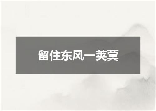 留住东风一荚蓂