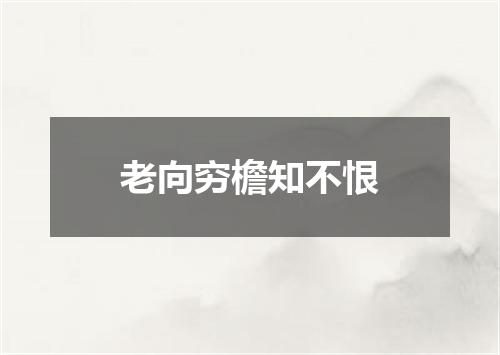 老向穷檐知不恨