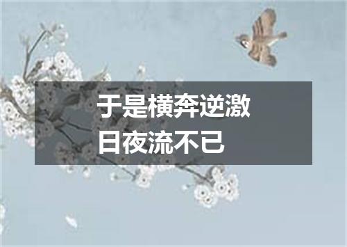 于是横奔逆激日夜流不已