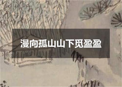 漫向孤山山下觅盈盈