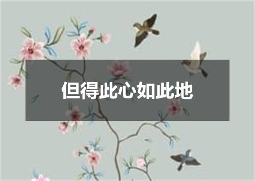 但得此心如此地