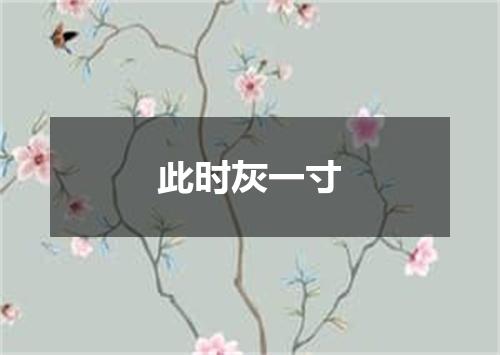 此时灰一寸