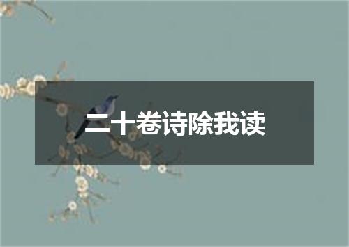 二十卷诗除我读