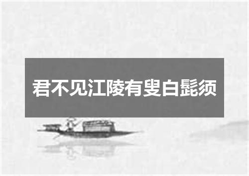 君不见江陵有叟白髭须