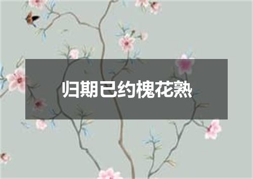 归期已约槐花熟