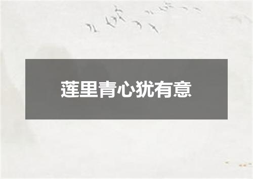 莲里青心犹有意