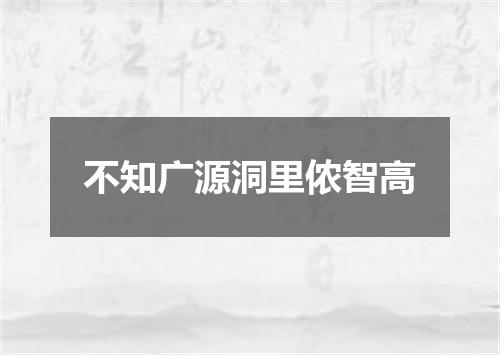 不知广源洞里侬智高