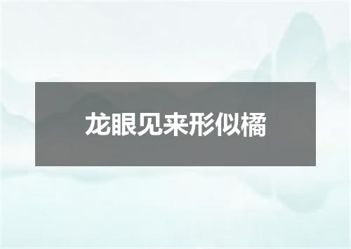 龙眼见来形似橘