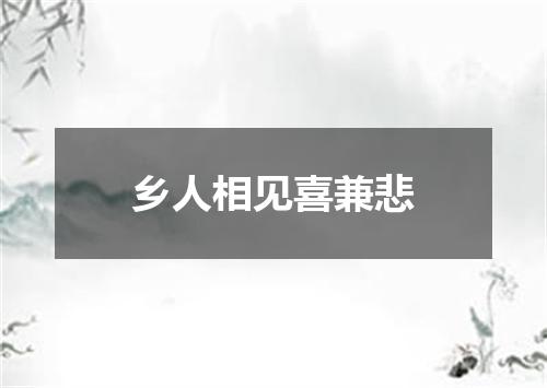 乡人相见喜兼悲