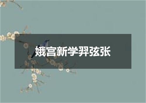 娥宫新学羿弦张
