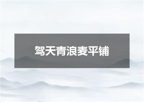 驾天青浪麦平铺