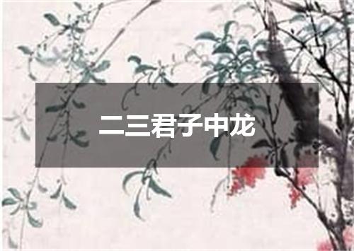 二三君子中龙