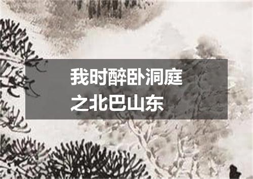 我时醉卧洞庭之北巴山东
