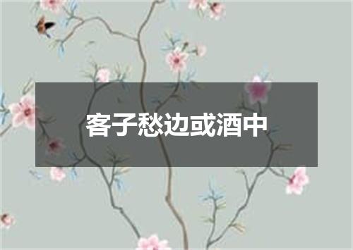 客子愁边或酒中