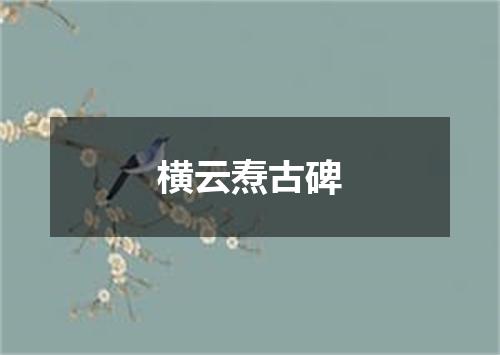 横云焘古碑