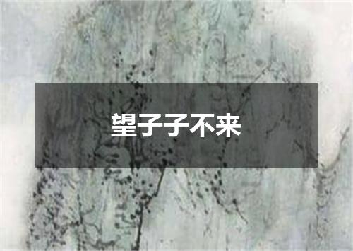 望子子不来
