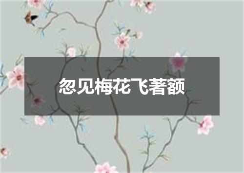 忽见梅花飞著额
