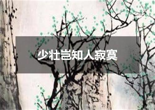 少壮岂知人寂寞