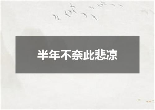半年不奈此悲凉