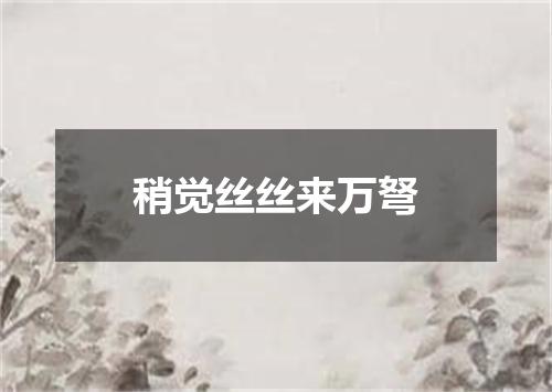 稍觉丝丝来万弩