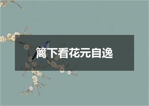 篱下看花元自逸