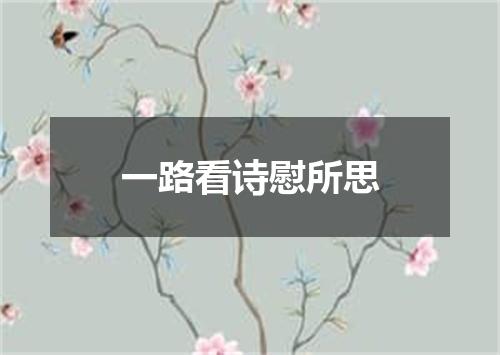 一路看诗慰所思