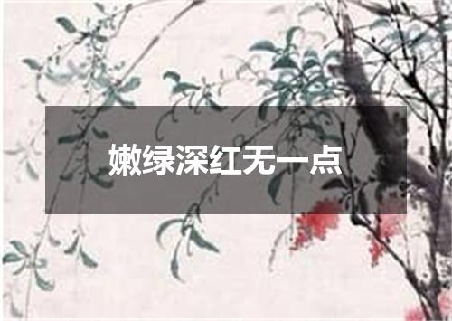 嫩绿深红无一点