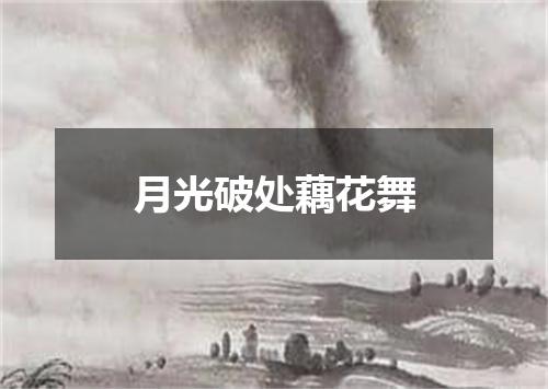 月光破处藕花舞