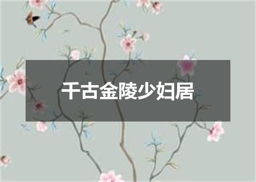 千古金陵少妇居