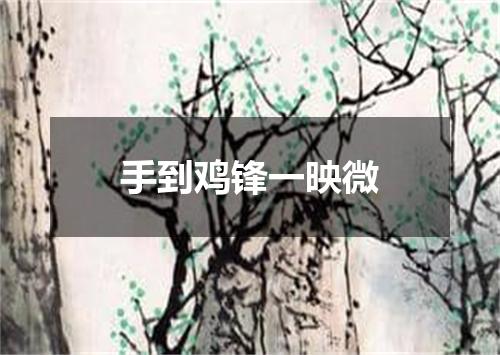 手到鸡锋一映微