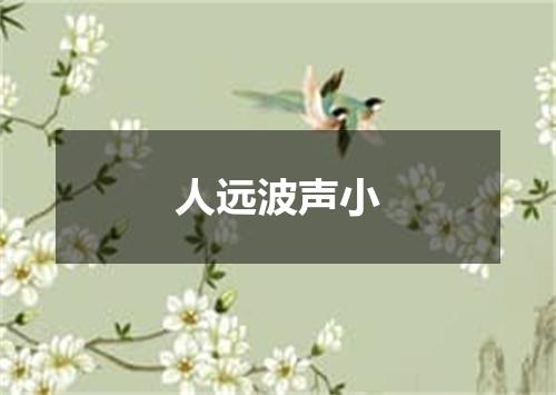 人远波声小