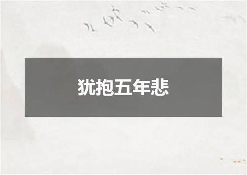 犹抱五年悲