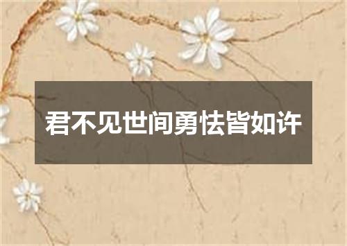 君不见世间勇怯皆如许