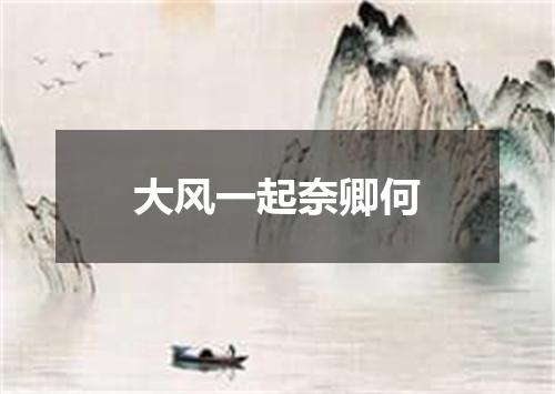 大风一起奈卿何